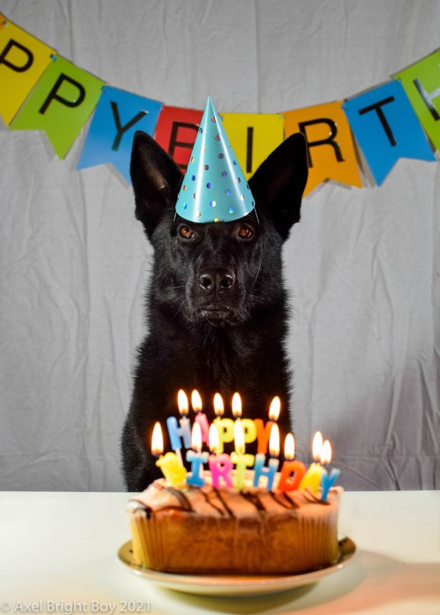 wannabewerewolf:It’s his 4th birthday!!!