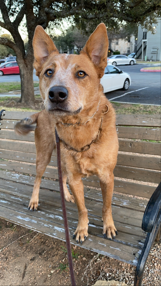 southtexasherder:You’re pretty cute sometimes. 🥰