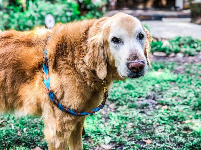 monty python, old enough to have witnessed the real spanish inquisition and still serving #looks….