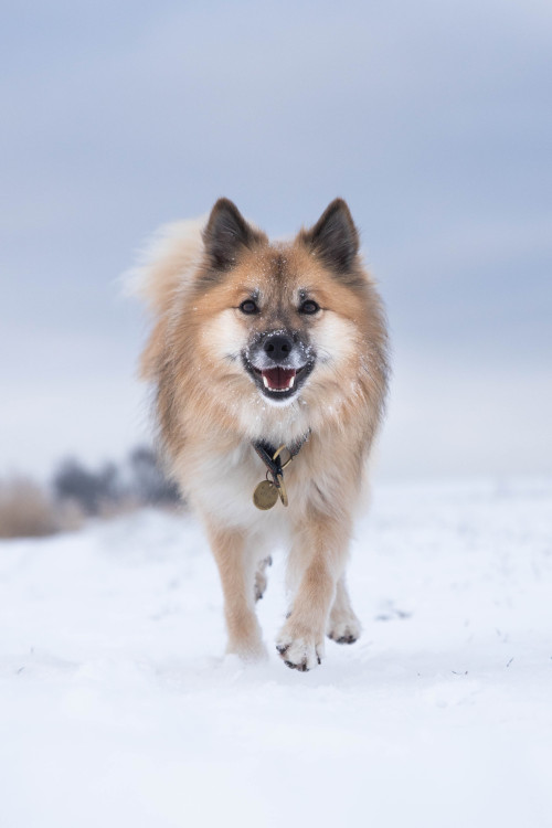 nefja:

Such a happy snow girl 