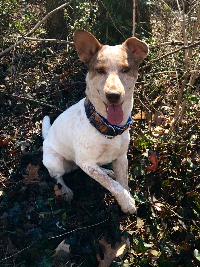 dantesinfurno:squeak face 🎾