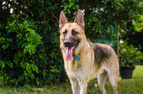 sidetongue:

a cool boy 