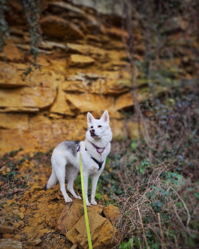 logan-maya:Maya posing at the quarry