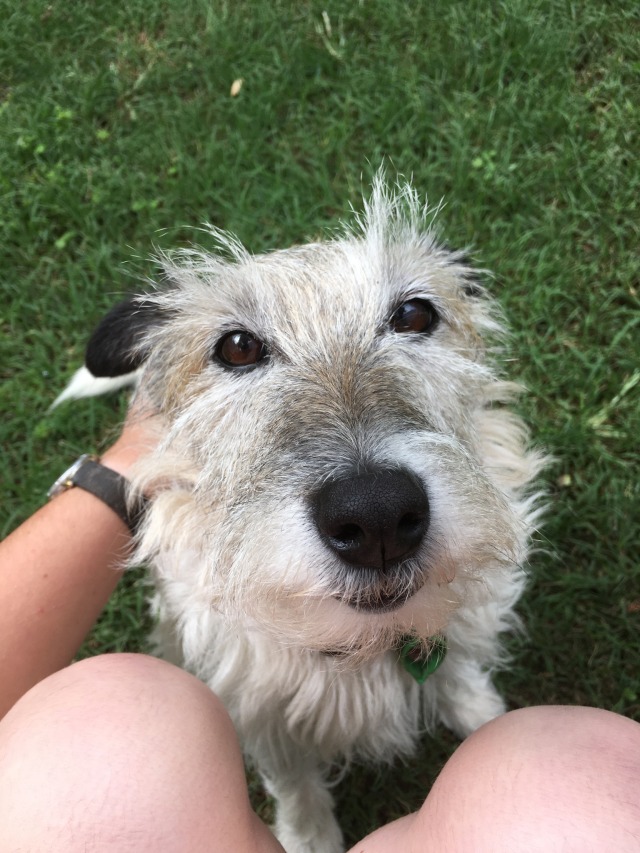 farm-paws:She likes it when I sing to her