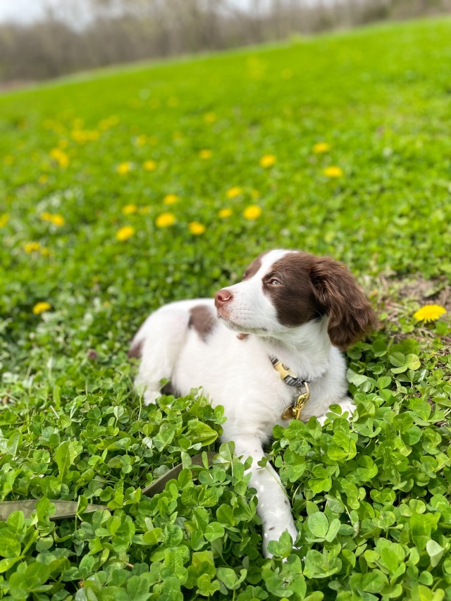 adventuresofwaverly:Glamor shots