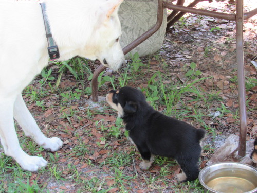 “Are you my daddy?”
Fatherhood rather suits Sutter…